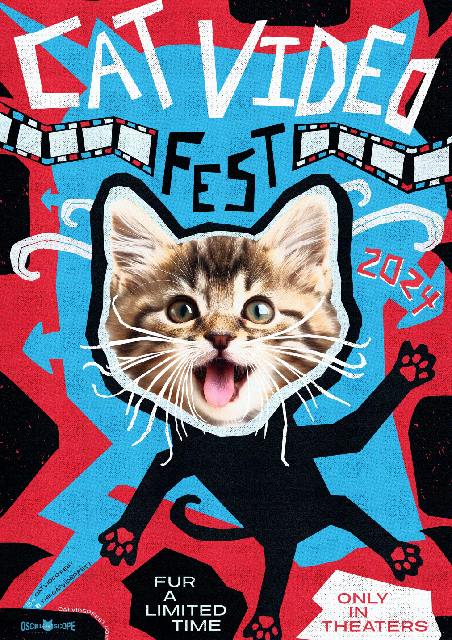 Cat Video Fest